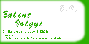 balint volgyi business card